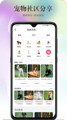 跟脚网  v3.7图1