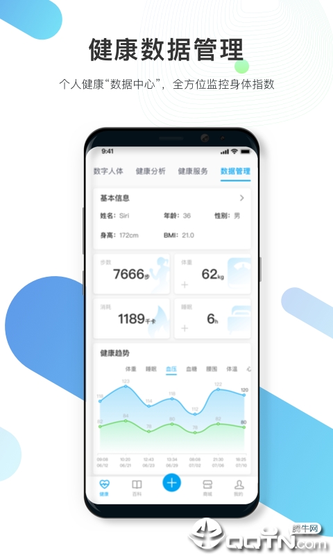 数字人体