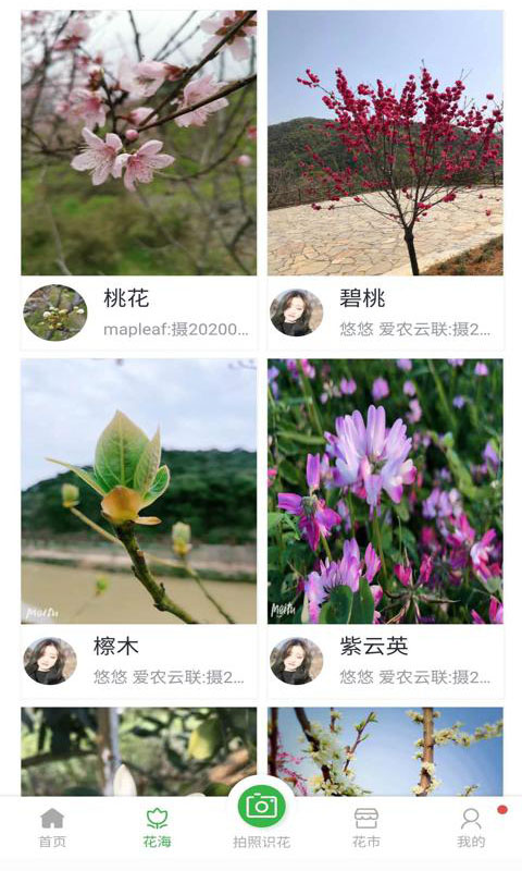 爱鉴花  v2.1.0图3