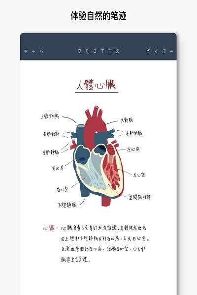 noteshelf  v5.1图3