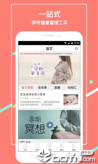 芝麻孕育
