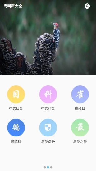 鸟叫声大全  v2.1318328图2