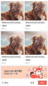 校狐