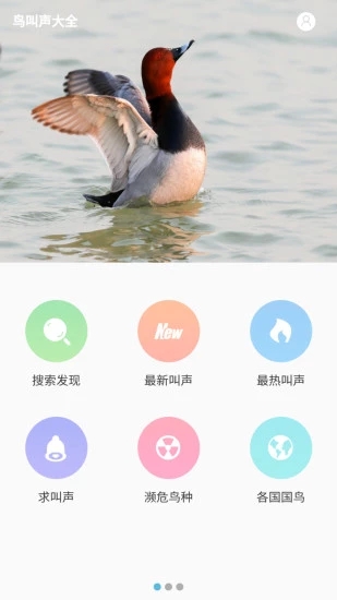 鸟叫声大全  v2.1318328图1