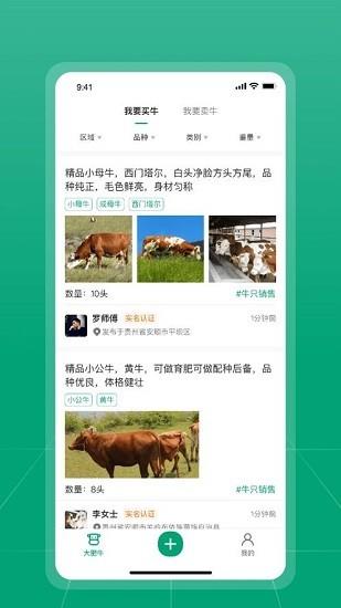 大肥牛  v1.0.3图3