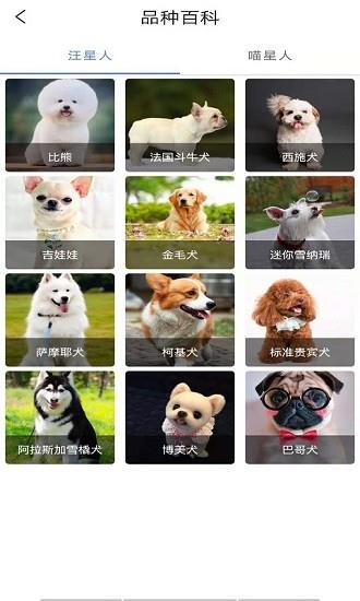 贝贝宠物百科  v1.0图4