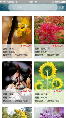 苗途  v5.9图2