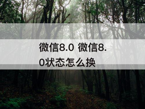 微信8.0 微信8.0状态怎么换