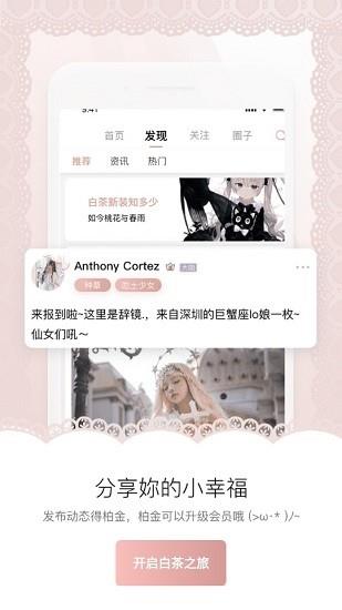 白茶平台
