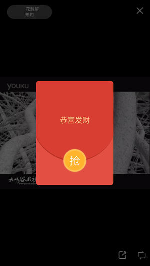 花解解