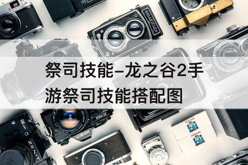 祭司技能-龙之谷2手游祭司技能搭配图