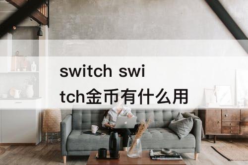 switch switch金币有什么用
