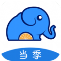 地下城与勇士M韩服