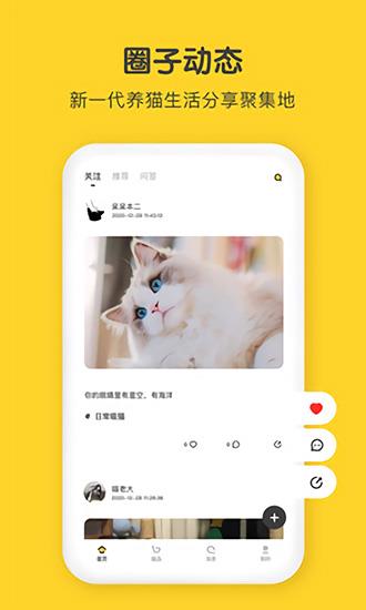 尖叫猫社区