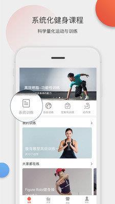 身材有道