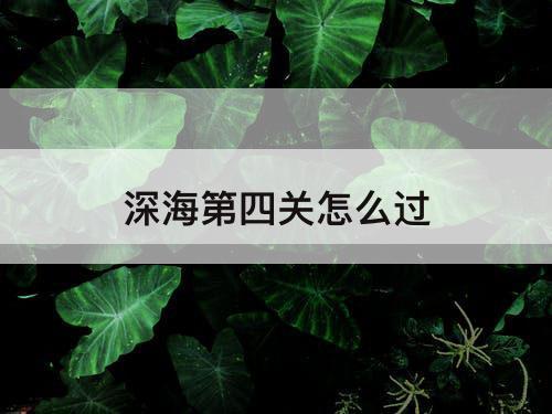 深海第四关怎么过