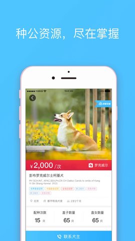 宠爱王国