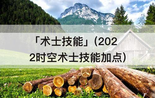「术士技能」(2022时空术士技能加点)