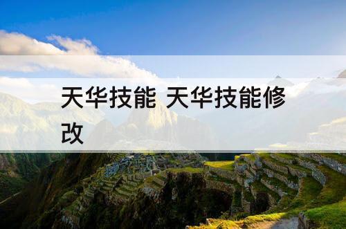 天华技能 天华技能修改