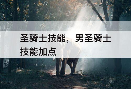 圣骑士技能，男圣骑士技能加点