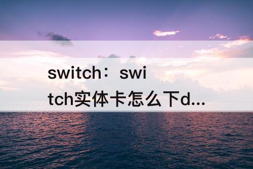 switch：switch实体卡怎么下dlc