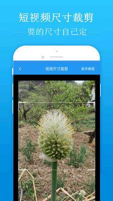 去水印吧