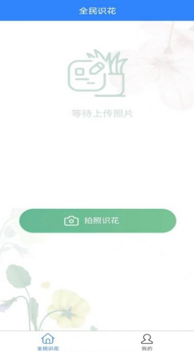 全民识花