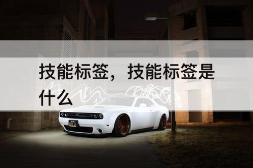 技能标签，技能标签是什么