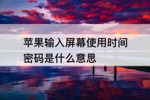 苹果输入屏幕使用时间密码是什么意思