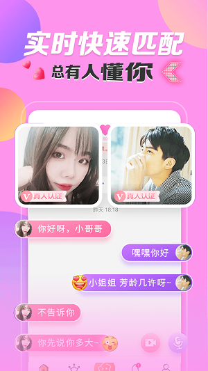 密友隐藏软件下载