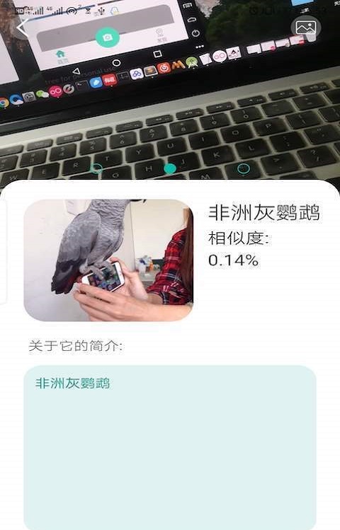 天天识别安卓版  v1.0图1