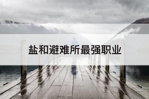 盐和避难所最强职业