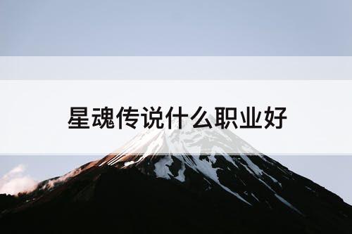星魂传说什么职业好
