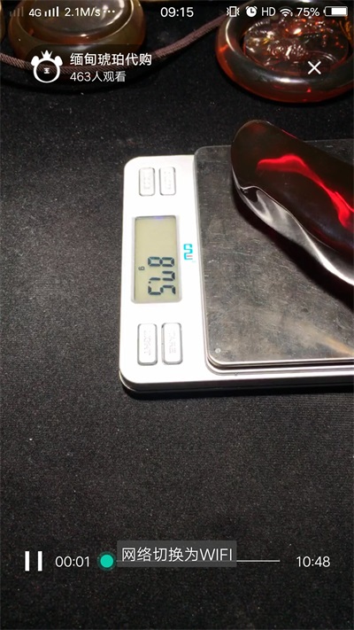 大熊翡翠2024  v1.0图2