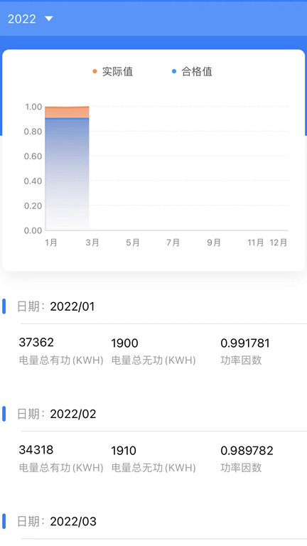 大圣电力2024