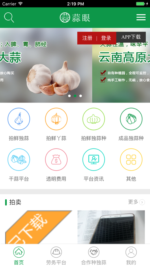 蒜眼2023  vv1.0图1