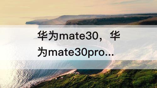华为mate30，华为mate30pro导航键怎么设置