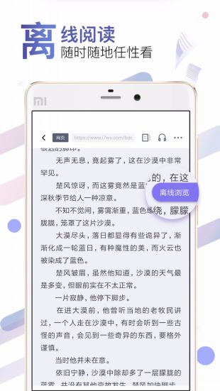 饭团小说Proapp