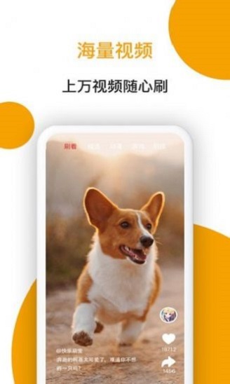 小狗看看手机版