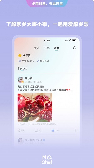 陌洽相亲交友安卓版