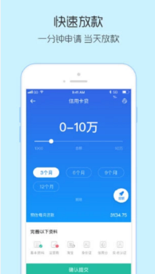 竹叶贷车主贷2024