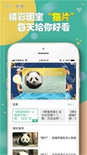 熊猫频道网页版下载
