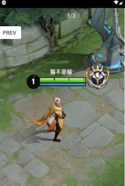 王者荣耀悬浮国标软件下载  v1.0图3