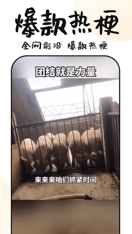 3分钟短剧剧本下载