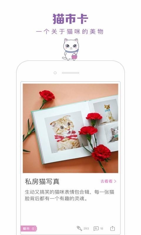 一日猫手机版  v2.4.7图4
