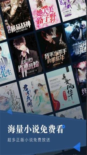 野花香小说网手机版