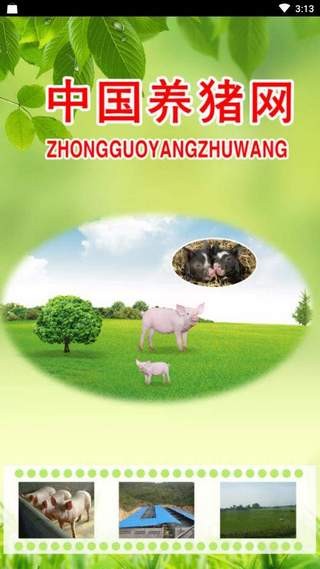 中国养猪网2024