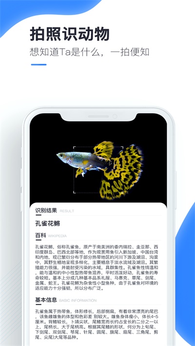 百科扫描王手机版  v1.0.0图1