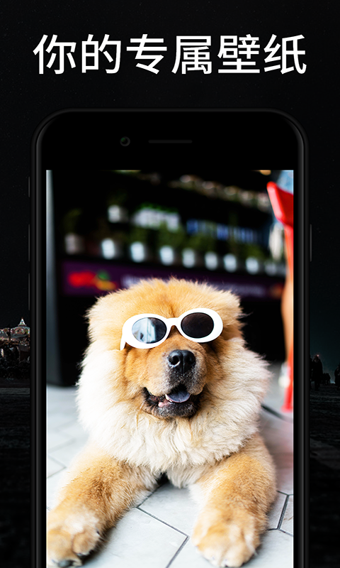 焕彩桌面最新版下载苹果  v1.0.1图3
