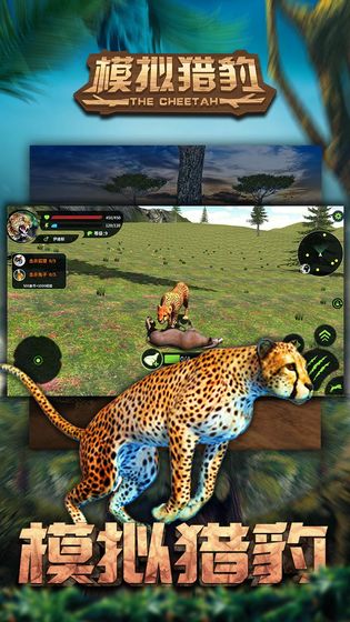 模拟猎豹  v1.0.1图1
